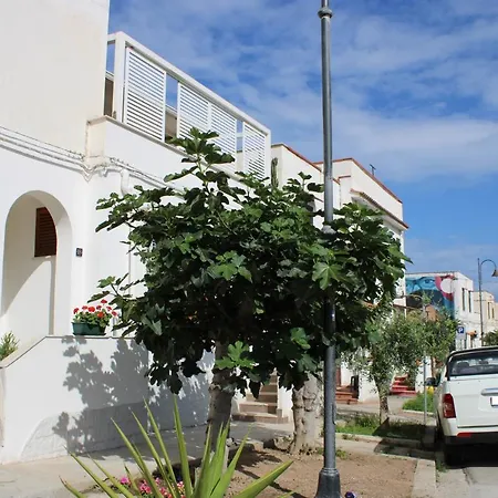 Marco Polo Bed & Breakfast Terrasini